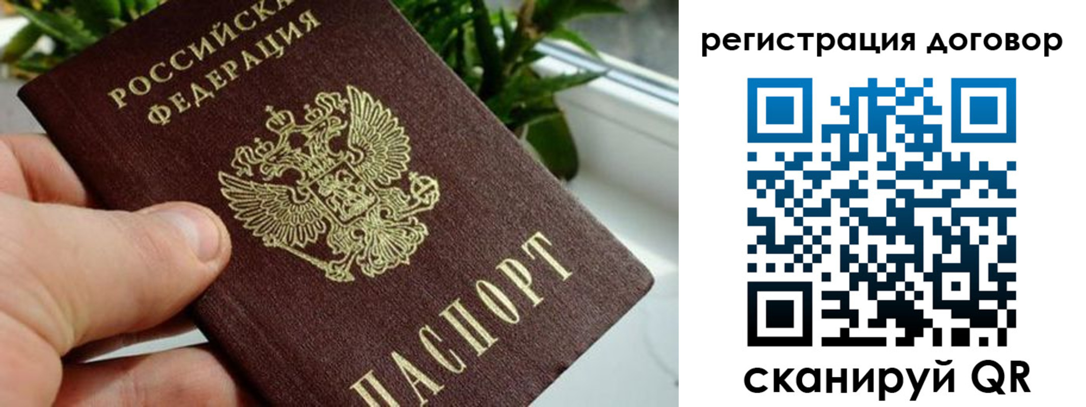 прописка ребенка в Сафоново